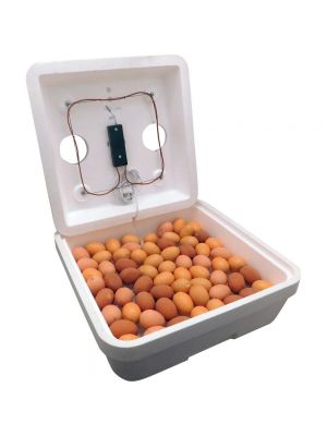 Інкубатор побутовий на 80 яєць"Веселое семейство-1Т" (ТЕНовий)